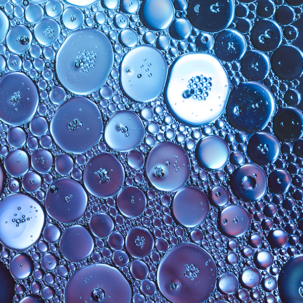 生物学相关研究
